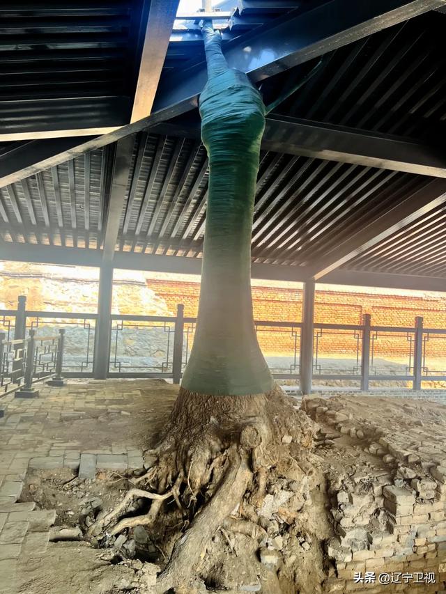 全网都在挖的小众访古宝地,被严重低估的宝藏小城,就在辽西......