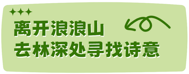 我想离开浪浪山，去房山看看！
