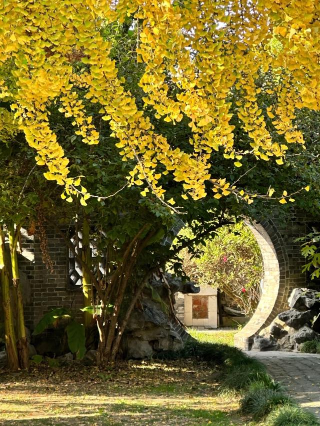 世界上只有中国江苏省扬州市才有的全球 “独一无二的10大奇景”