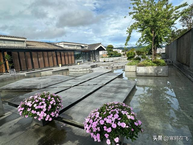 无暑之地（4）临沧 普洱