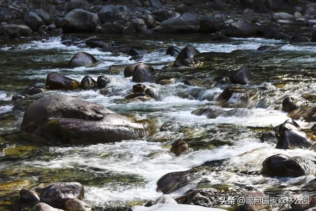 云端漫游，共赏黑河 | 提前解锁初秋的第一份美好