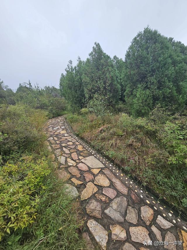 向往大山，向大山出发，天然氧吧，一路向上，无畏无惧，一起吧