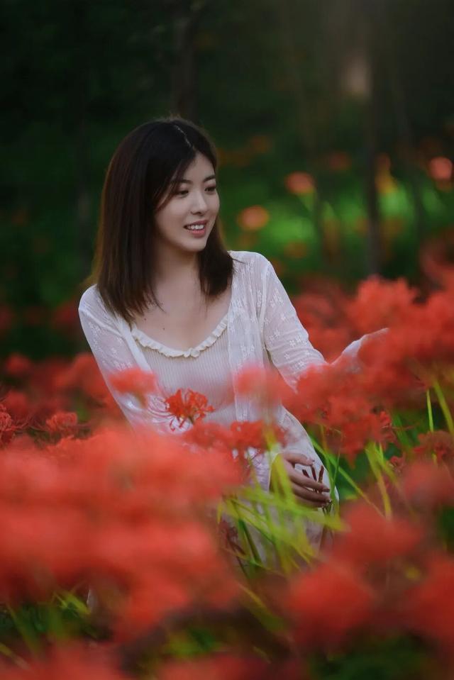 秋日美景 彼岸花开！两江新区又迎打卡好去处