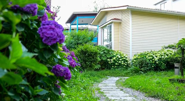 乡游黔中 · 长顺县 付家院村丨金菊翻浪映秋色,品味沉淀的时光