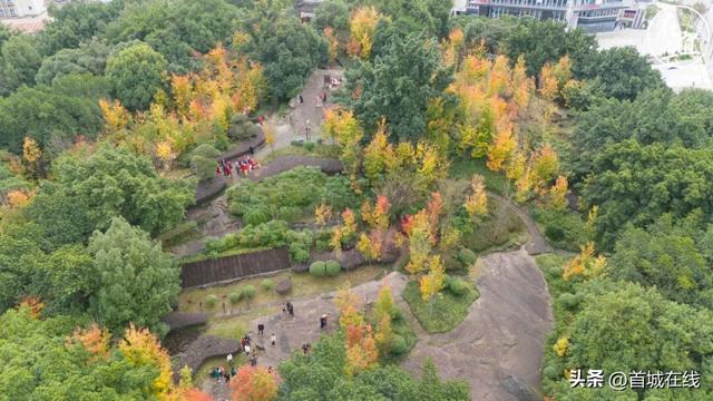 大面积改造！再见宜宾流杯池公园