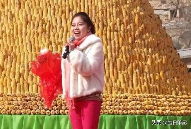 倾家荡产120万上星光大道，惨被淘汰后，负债40万的她如今怎样了