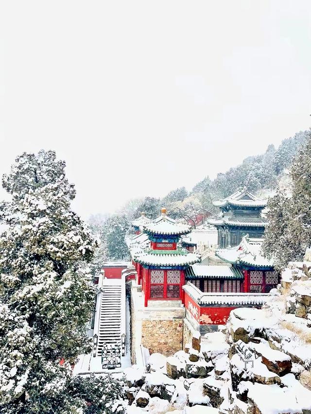 雪迎2026：颐和园又见素裹银装，半城惊鸿