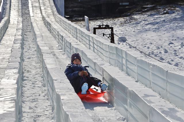 玉渊潭公园第十七届冰雪季启幕 全新百米冰滑梯领衔冬日畅玩