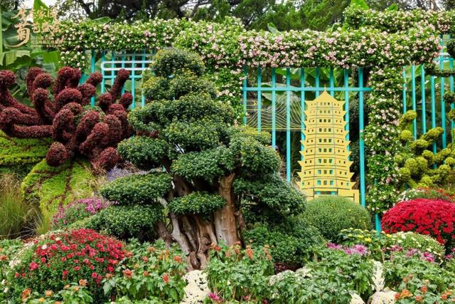 不愧是顶流！一大早就红了，人挤人持续好多天！萧山人家门口也有······