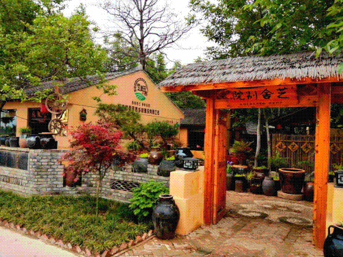 走！金秋到杨凌“村”游去