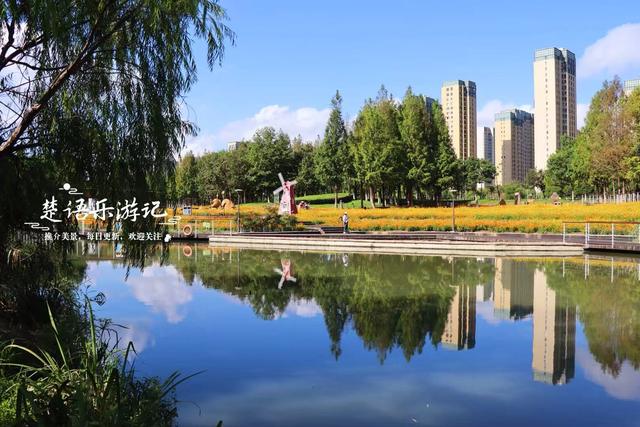 浙江宁波这片花海再次绽放，被誉为藏在城中的秋天童话，真的超美