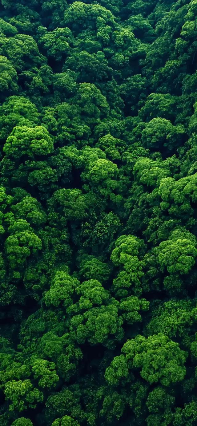 每日壁纸秀｜风景壁纸