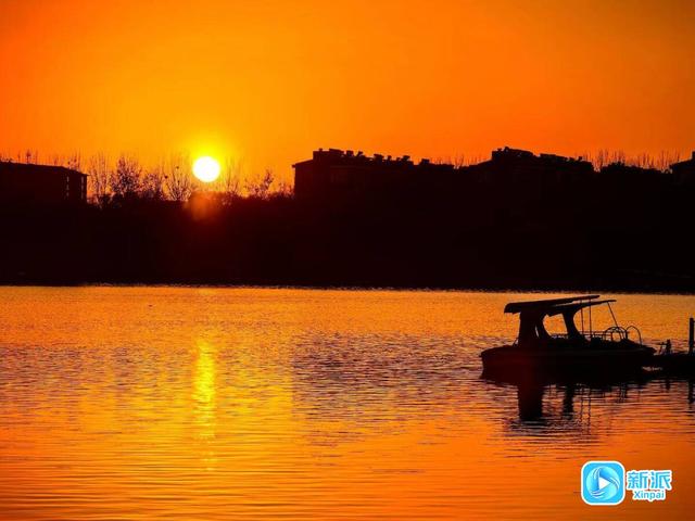 朝看芦苇夕望鸟，潍坊这里的冬日氛围感拉满！