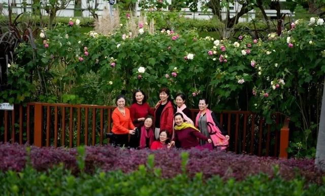 滴！赏秋“快递员”小园，持续为您派件→