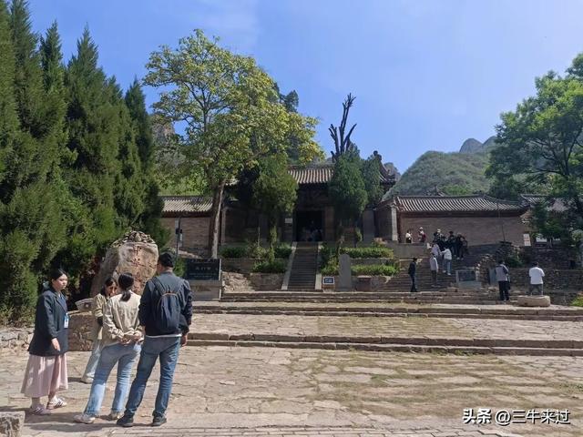 无为在歧路，2025之经行