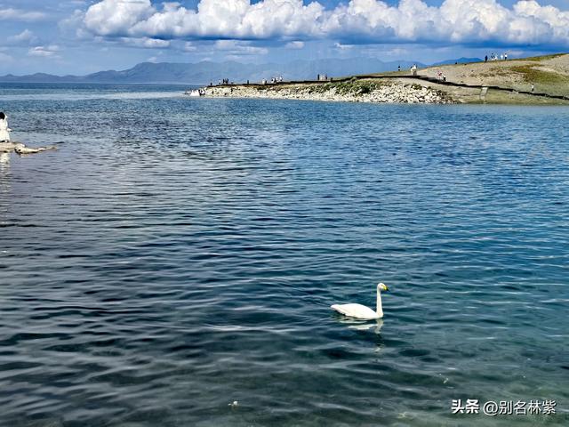 自驾新疆，赛里木湖半日游，环湖游注意事项，可当攻略（5）