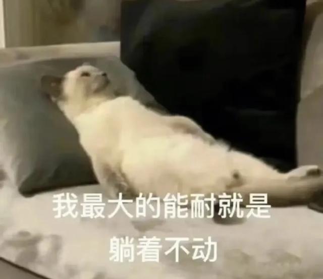 不想被调教了,终于有人教我怎么玩了?