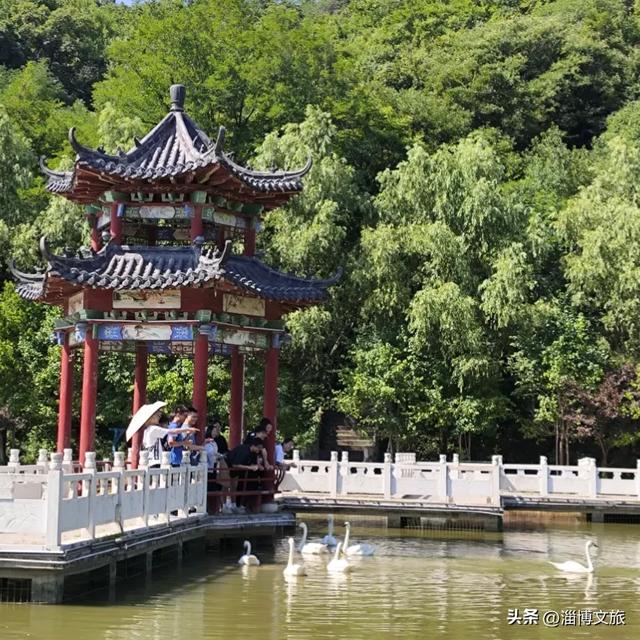 正月初五至正月十五，淄博一景区免门票！