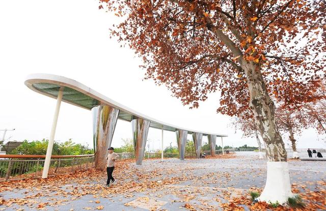 即将开放！重庆新增一滨江公园