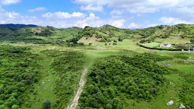 在白松坝，停驻于岁月漫溯山河的刹那