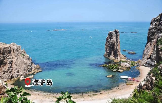 山东荣成：天鹅与海鸥齐飞，这座低调滨海城，藏着北纬37°的浪漫