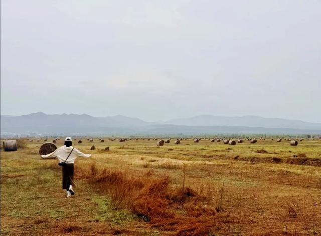 进度已达90%！呼和浩特进入全盛期！最近每天都不一样，呼市人抓紧出门