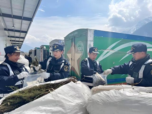 致死率75%？中方正式向全球通告：该病毒已列入出入境监测目录！