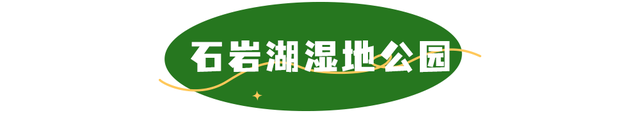 活力宝安城区指南｜山海蓝绿瞬间：山水连城，绿动宝安！