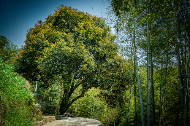 向全萧山人道歉！“上班”迟到了！