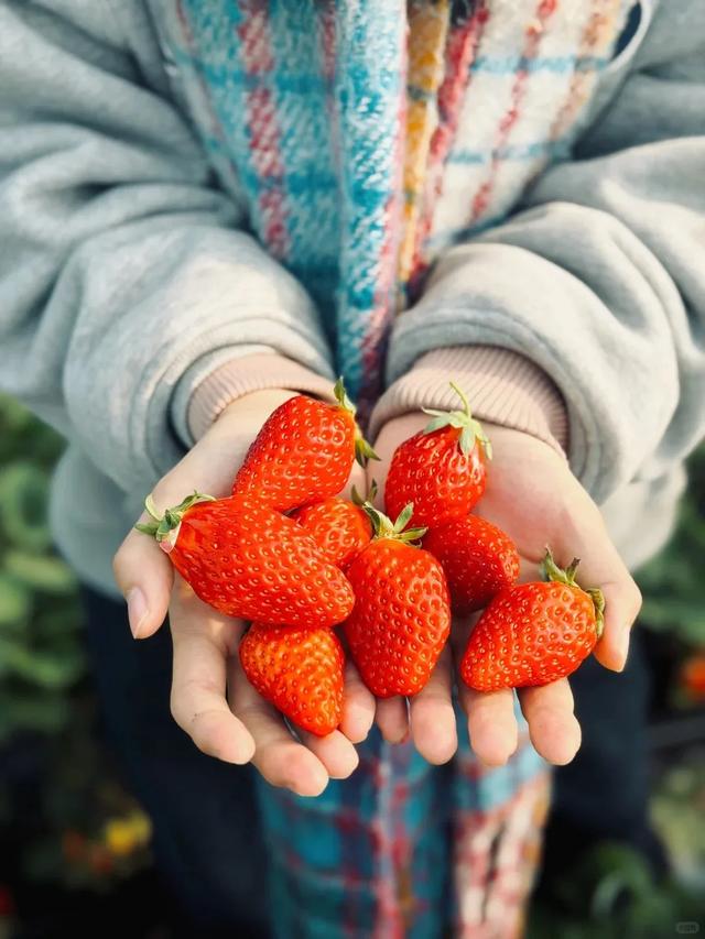 🤩收藏！春节拍大片，就来黄陂『下集』