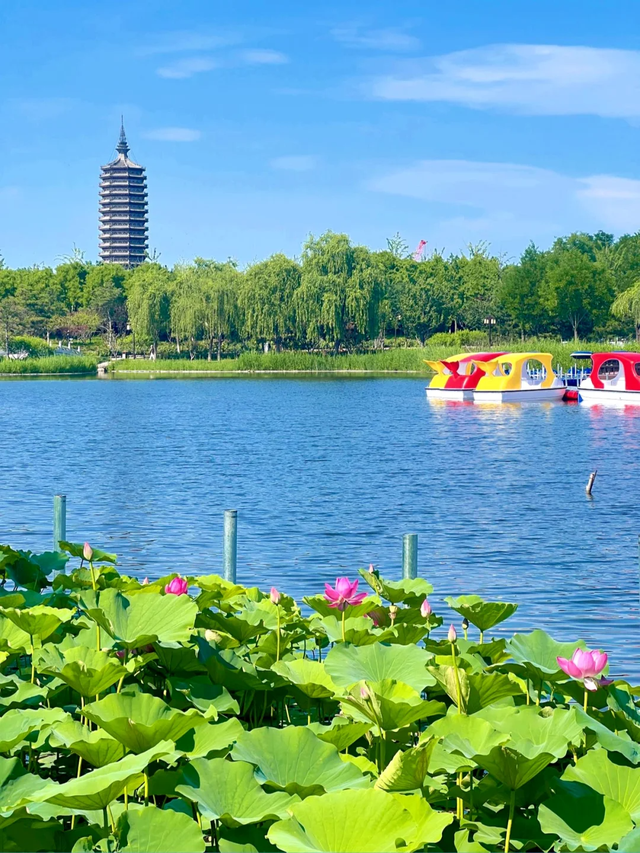 北京市通州区西海子公园游船开航！童年小船回来啦~