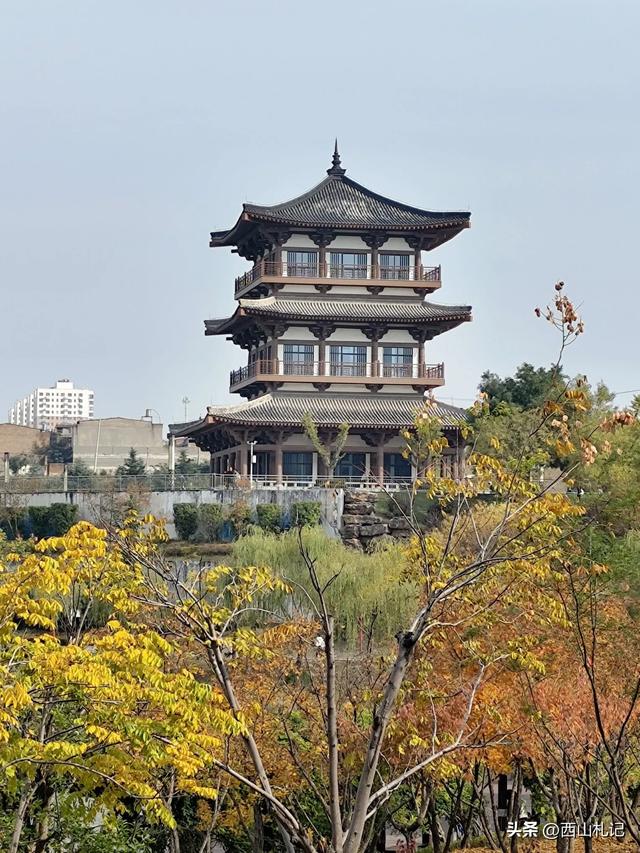 五线小城里的银杏大道,美翻全网的深秋景色原来在这里