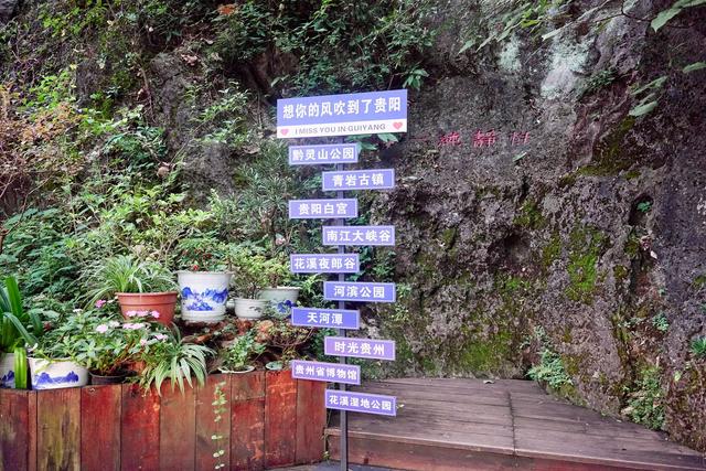 贵阳黔灵山公园，亲子游玩的好去处，这里有近距离撸猴的绝佳地点