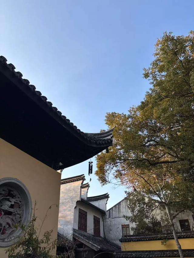 元旦跨年！2天打卡浙江湖州4个免费小众景点，永远为江南风情心动