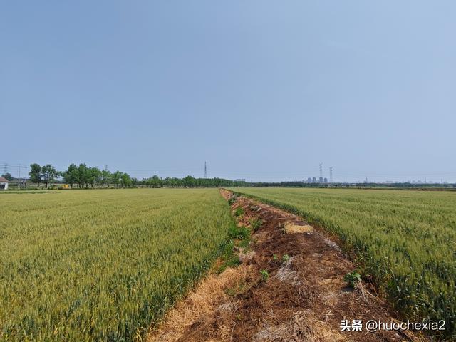 隔壁的城市走一走——镇江丁岗五七林场