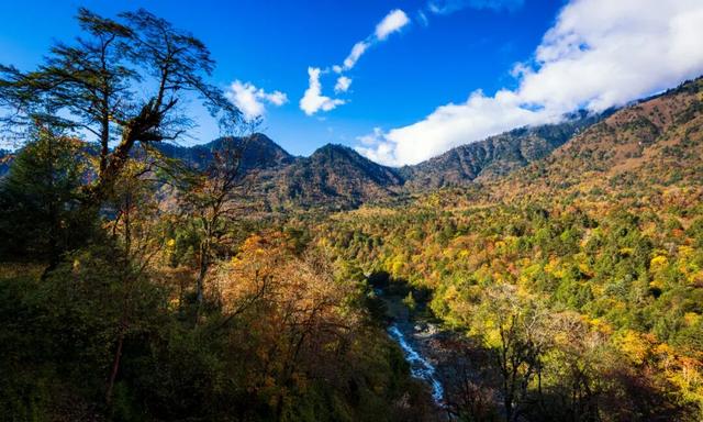 春秋假出逃天花板！成都1.5h直达，天全CityWalk强势来袭，打卡赢文创奖牌+狂炫美食！