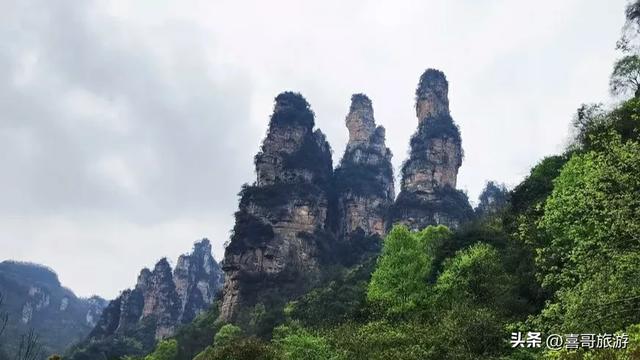行走的山水诗篇:张家界十里画廊漫游记