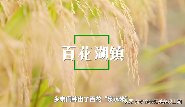 出发！周深邀你共赴观山湖，见证“美”的进化论