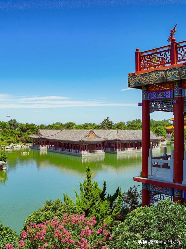 【乐游烟台】夏日顶流！烟台这座神仙小城也太会拿捏松弛感了