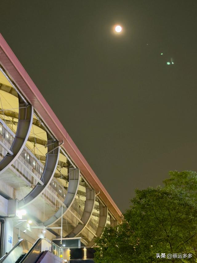 夜游上海古猗园，夜景璀璨迷人