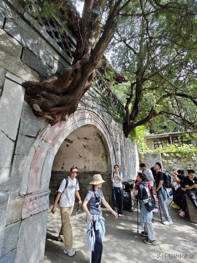 徒步登泰山之一——3小时从一天门到中天门