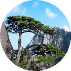 【10点开抢！第二波羊毛风暴即将登陆】徽州有礼·黄山旅游年卡又上线啦！| 皖美夏日