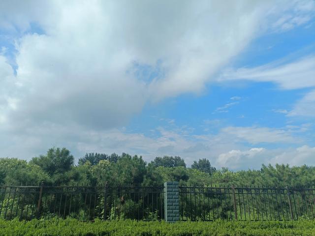 午后,雨后郊野,天气蒸热。