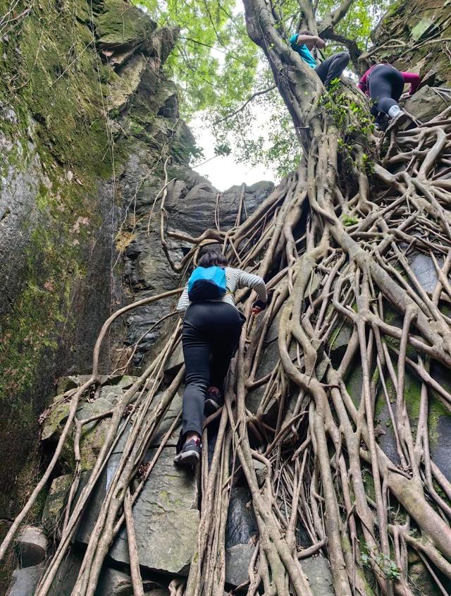 厦门东坪山蟒蛇壁，据说有人在此见过一大蟒蛇，大概名字由此而来