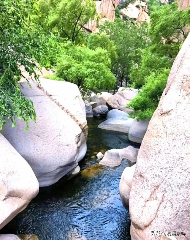 凤凰蛋石寄心愁