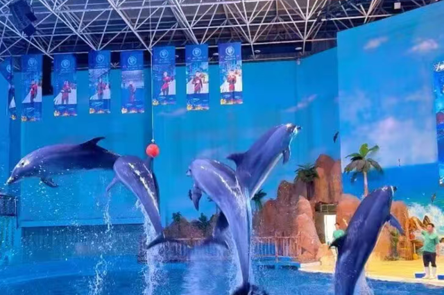 临沂人游临沂 | 一大波景区优惠福利来了