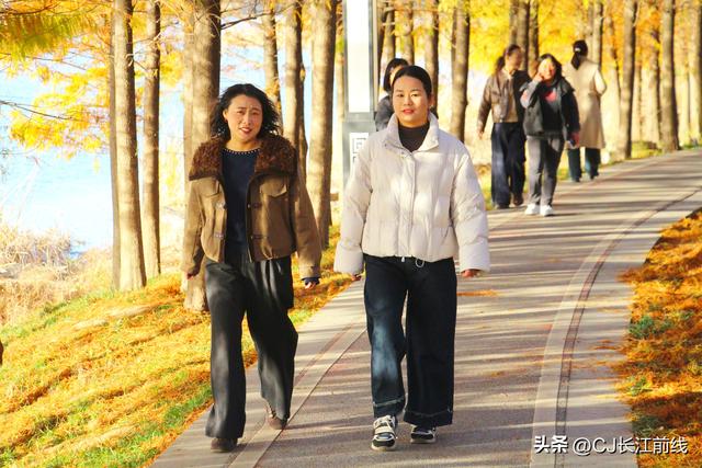 河南淮滨：落羽杉红了，美女们来啦！