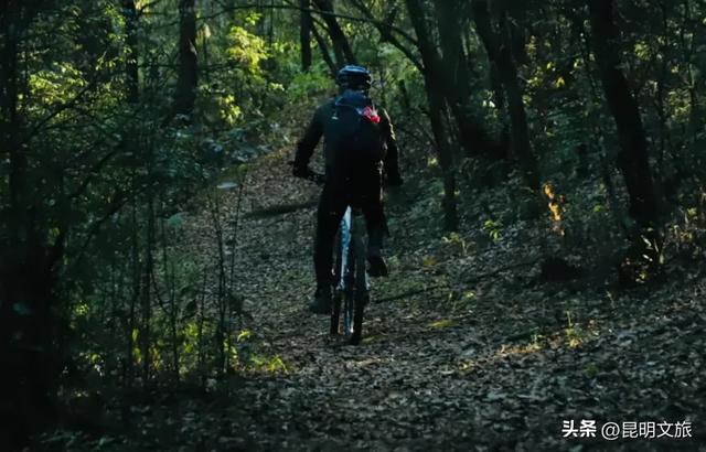 来一场短暂的城市逃离!盘龙这些登高好去处你知道吗?