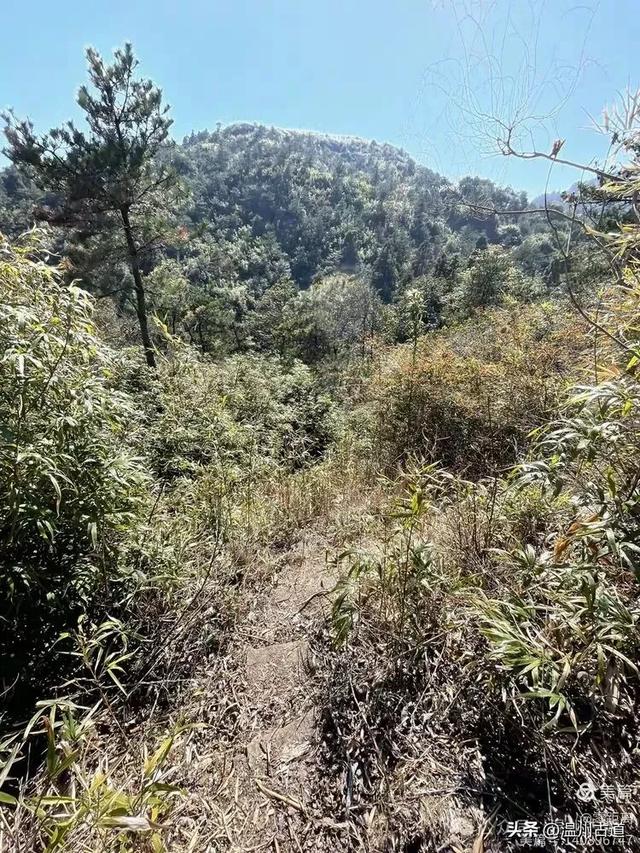 温州这条可至4A景区的著名峡谷穿越线路,风光独特,你可去过?