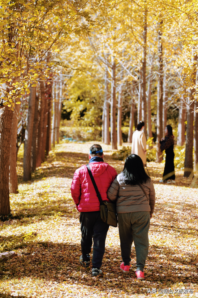【乐游烟台】这是一份来自“金色梦境”的邀约，一起来撒欢